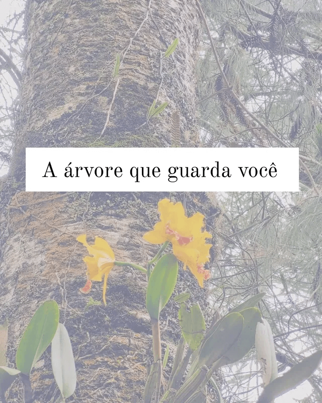 A Perda e a Eternização