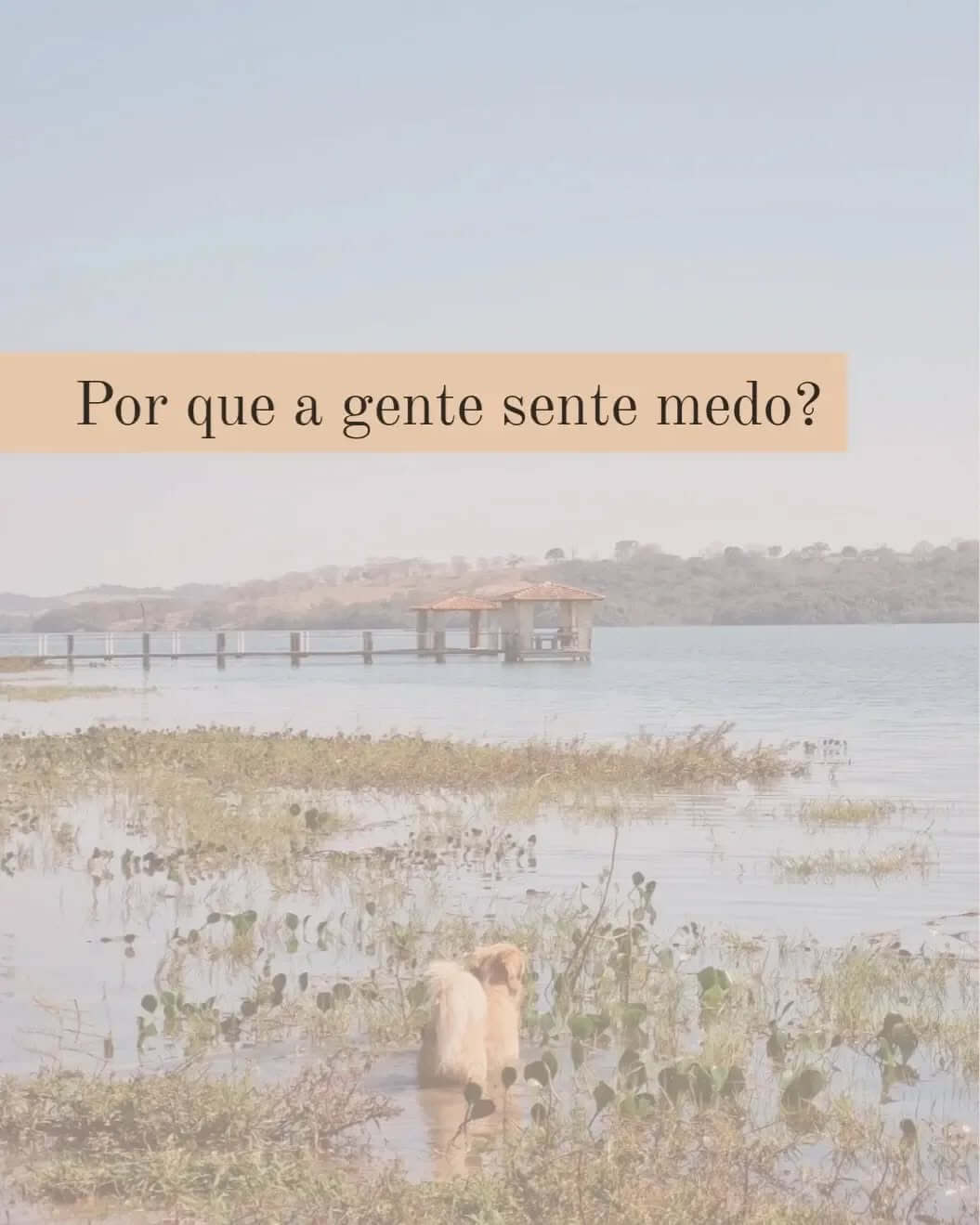 Não É Sobre o Medo