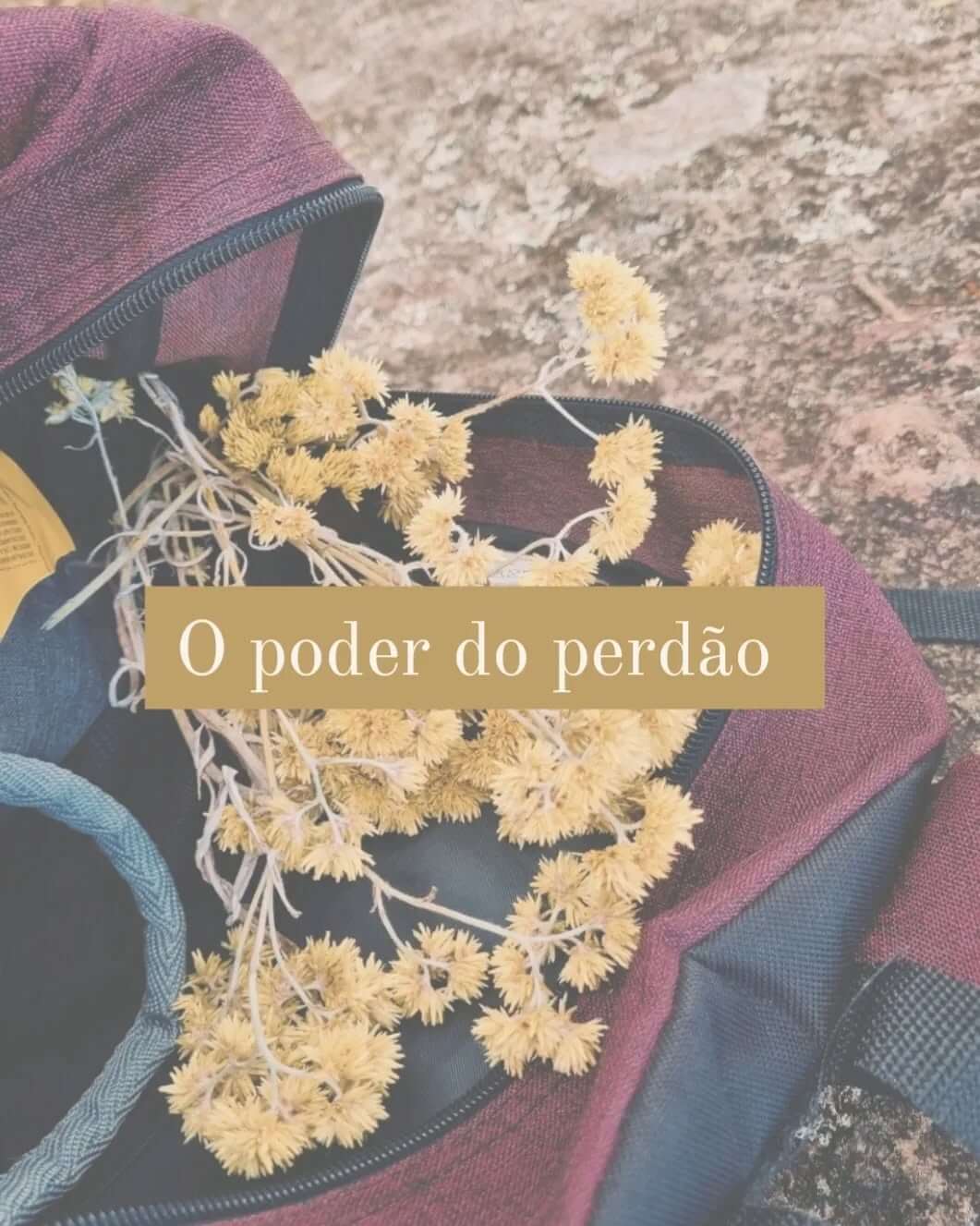 O Perdão Que Liberta