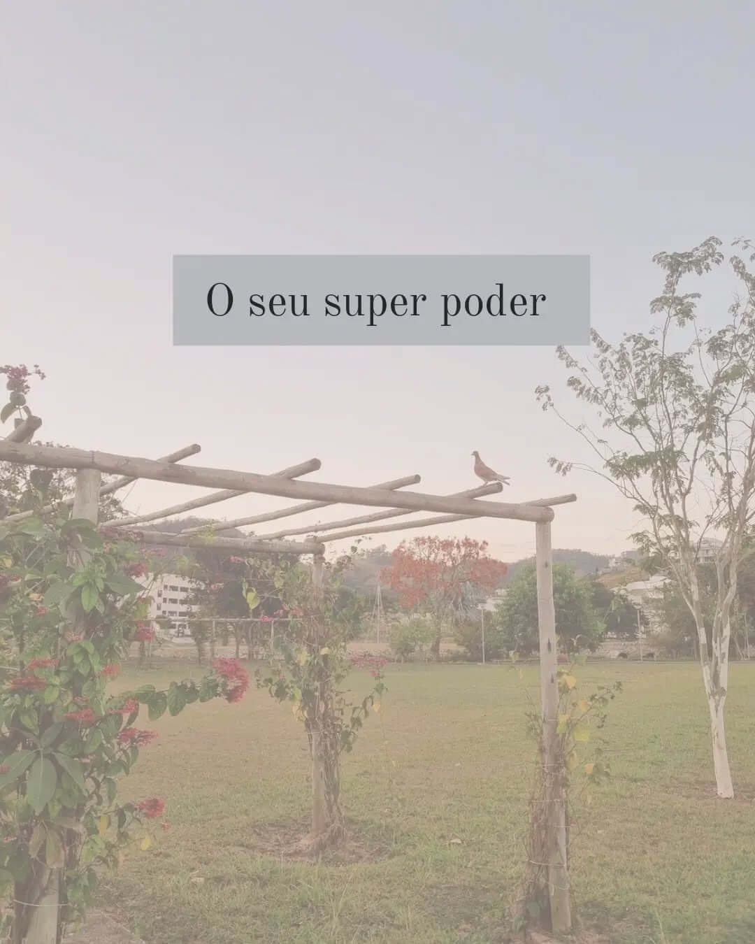 O Seu Superpoder
