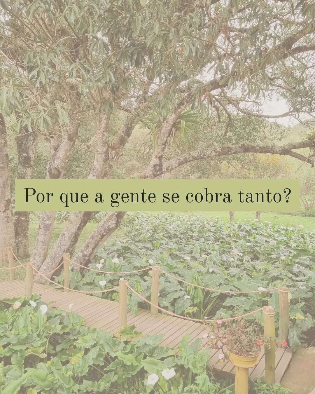 Por Que a Gente se Cobra Tanto?